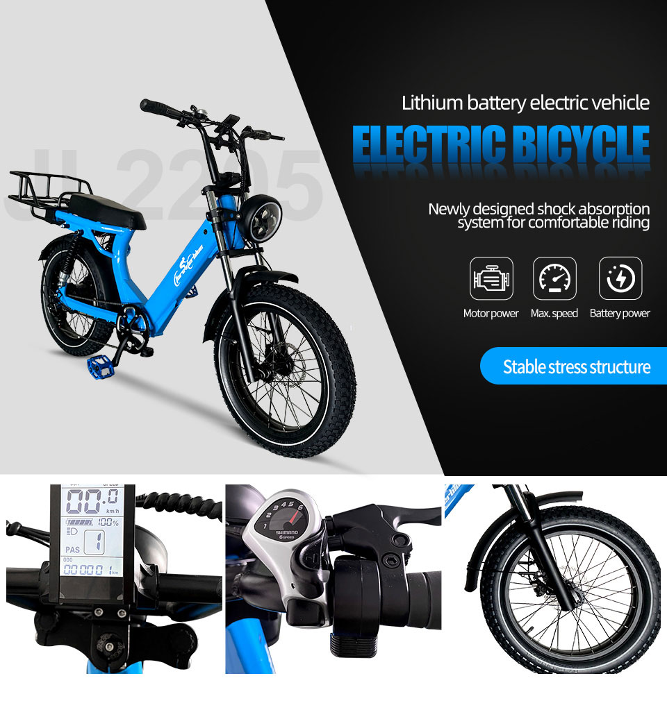 2205 350W-1000W 48V 13Ah14Ah 35kmh lithiumbatterij elektrische fiets Detail01