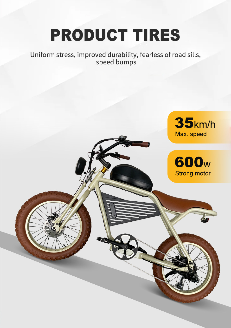 2211 350W-1000W 48V 16Ah19.2Ah 35kmh Bicicleta eléctrica con batería de litio Detail08