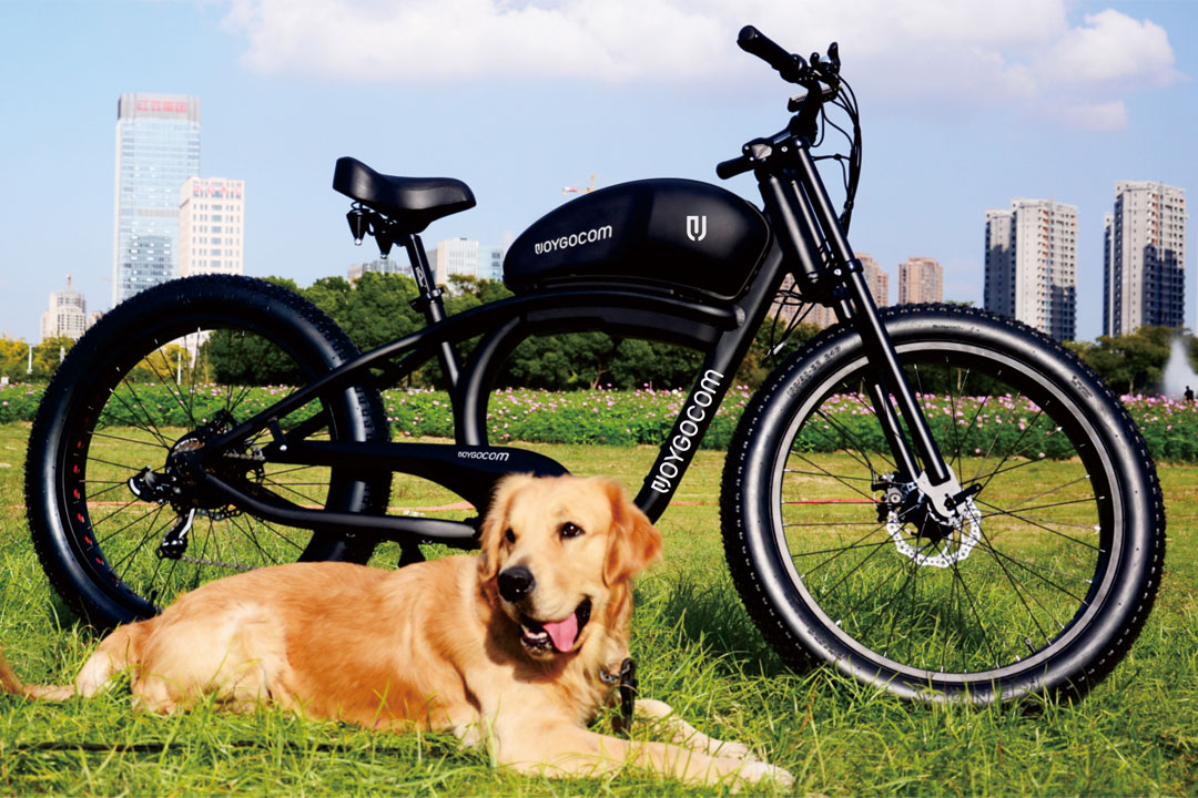 Un fabricant de vélos électriques plaide pour la mobilité électrique – Mesures de sécurité pour garantir votre conduite sereine - Cyclemix