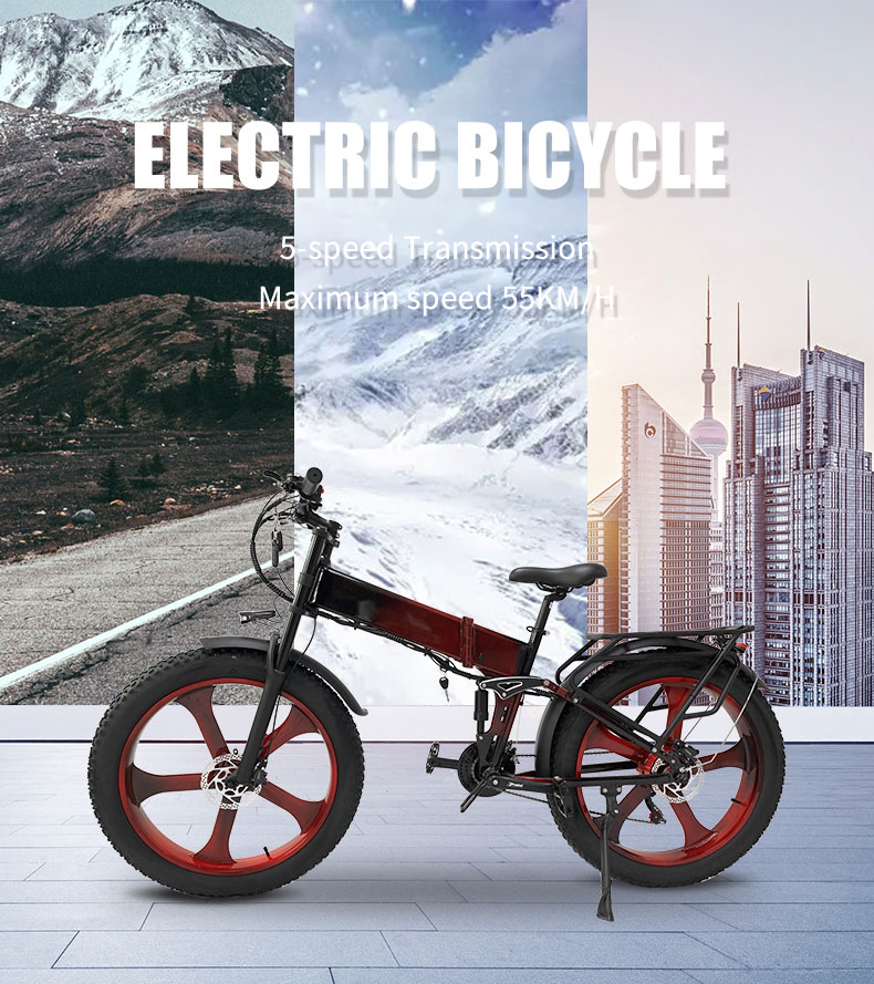 Bicicletta elettrica DGHM-78 750W 48V 20Ah 55kmh Details01