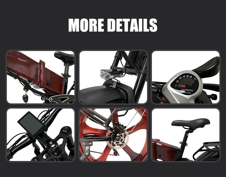 Bicicletta elettrica DGHM-78 750W 48V 20Ah 55kmh Details05