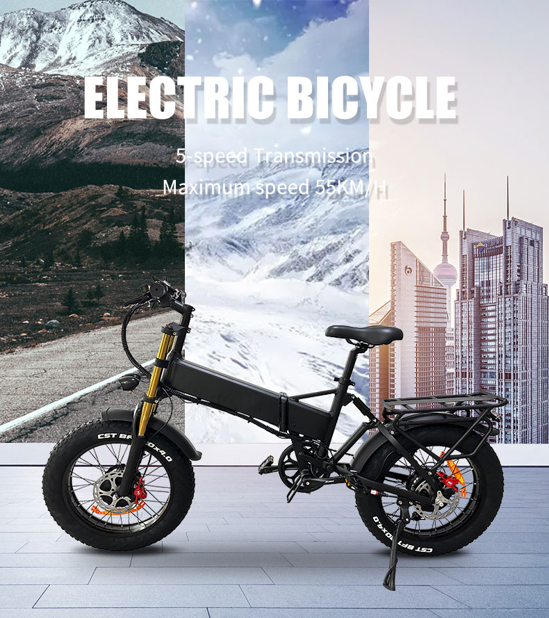 Bicicleta elèctrica DGZC-78 750W 48V 20Ah 55kmh Detalls01