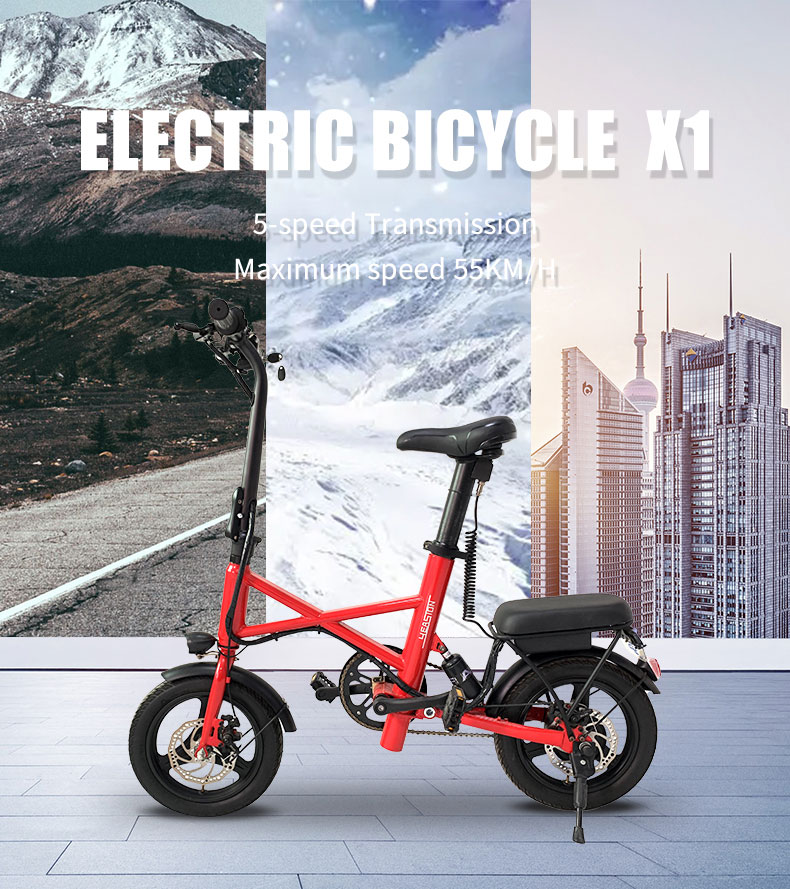 Bicicletta elettrica X1 250W 36V 7.8Ah 25kmh Details01