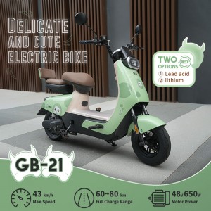 Moped Elektrik GB-21 Cyclemix