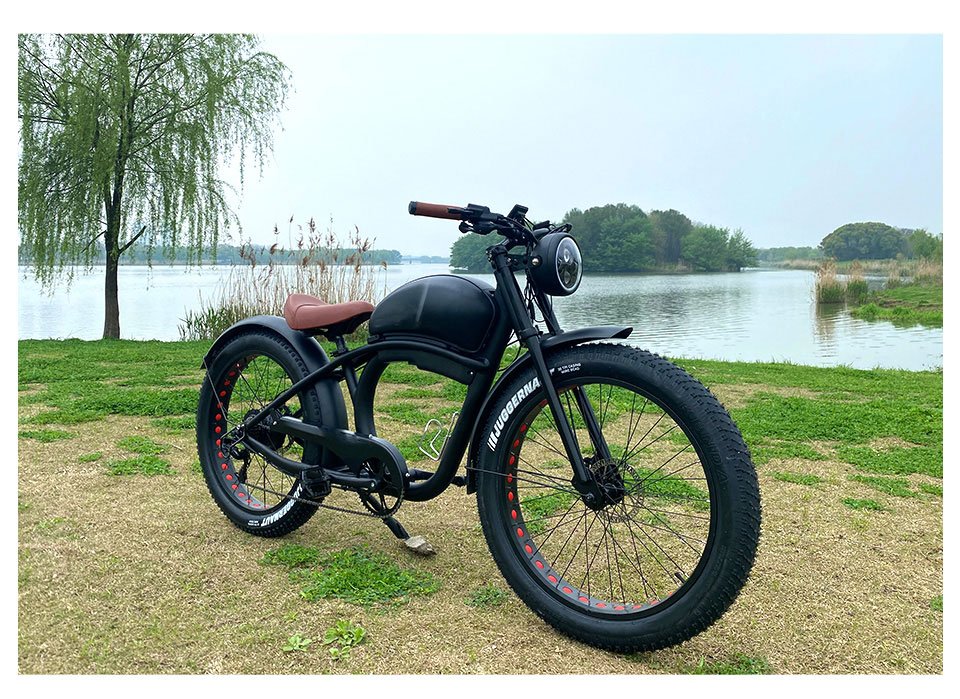 Электрический велосипед с литиевой батареей FY 500W-1000W 48V 15Ah-25Ah 50KmH Деталь15