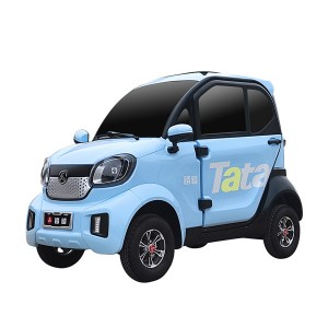 तातो बिक्री 1000W 60V 58A चार पाङ्ग्रे नयाँ ऊर्जा विद्युतीय सवारी साधन (1)