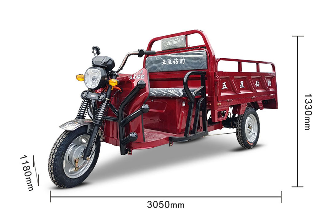 Fironana amin'ny fivoaran'ny tsena eran-tany amin'ny Cargo Electric Tricycles - Cyclemix