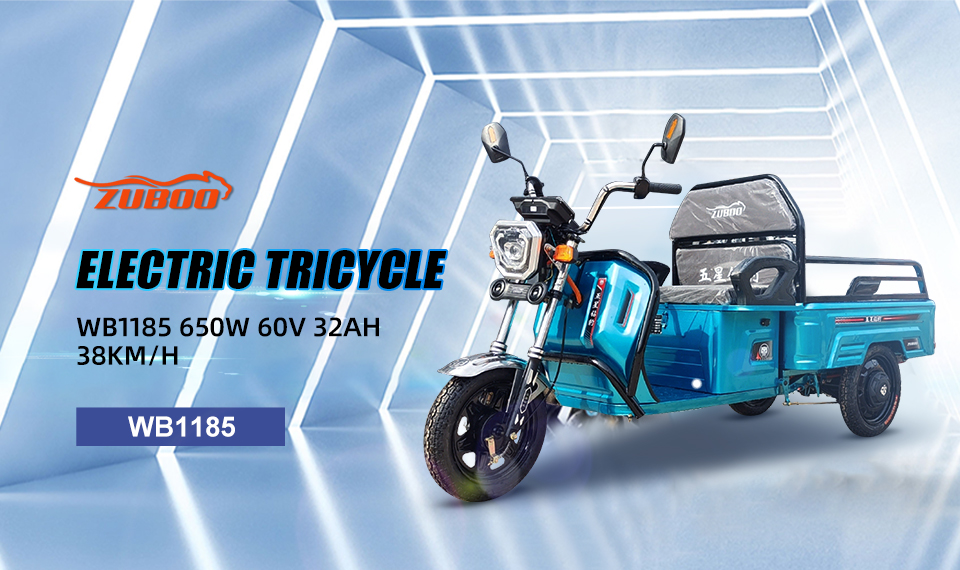 Tricicle elèctric WB1185 650W 60V 32Ah 38Km/H Bateria de plom àcid