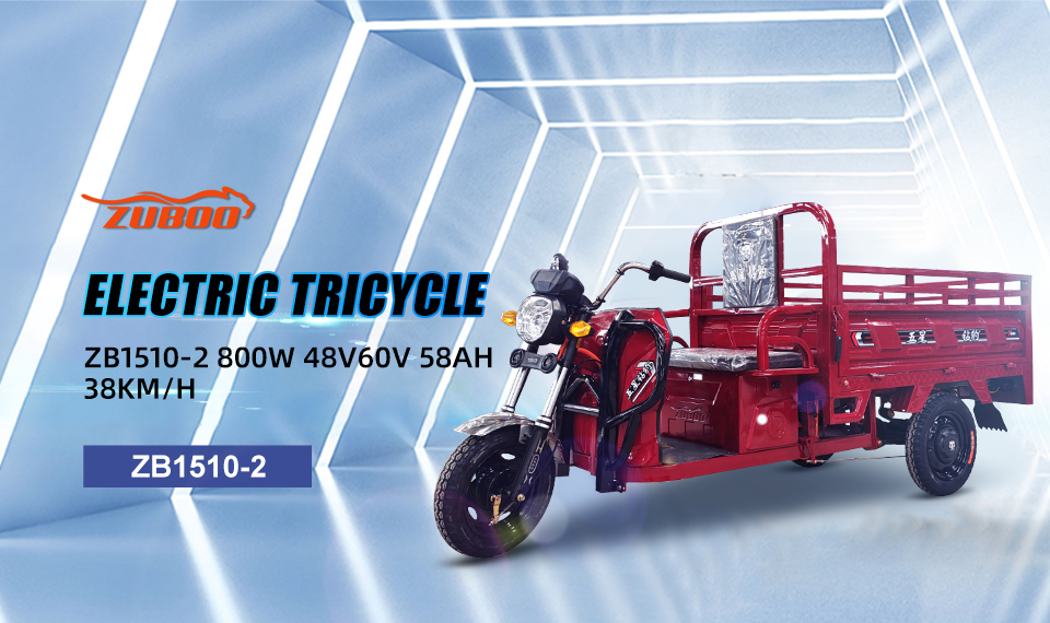 ZB1510-2 800W 48V 60V 58Ah 38Km/H Acid Acid Battery Electric Tricycle