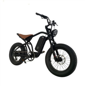 จักรยานไฟฟ้า X6 Cyclemix