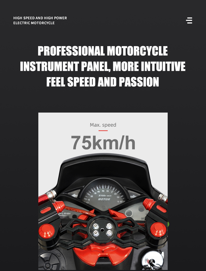 JCH hoge snelheid en krachtige elektrische motorfiets Details 14