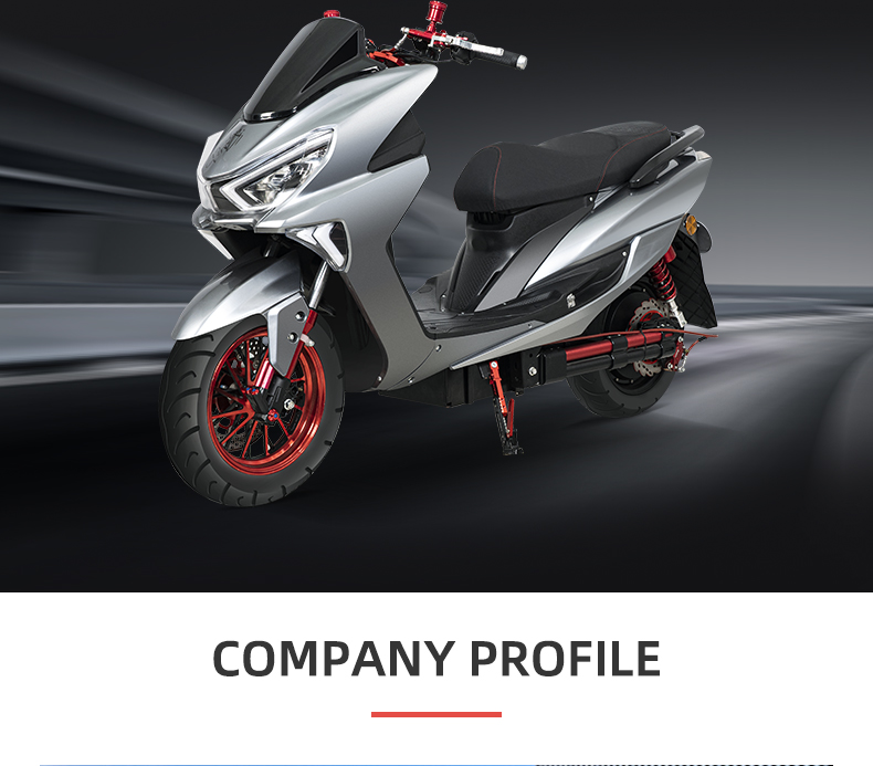JCH hoge snelheid en krachtige elektrische motorfiets Details 15