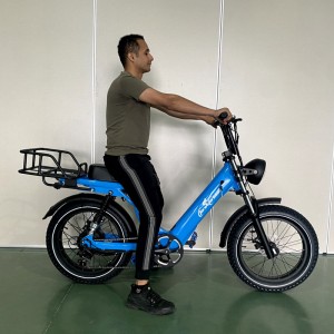 2205 350W-1000W 48V 13Ah14Ah 35kmh Lithium Battery Electric Bike 02