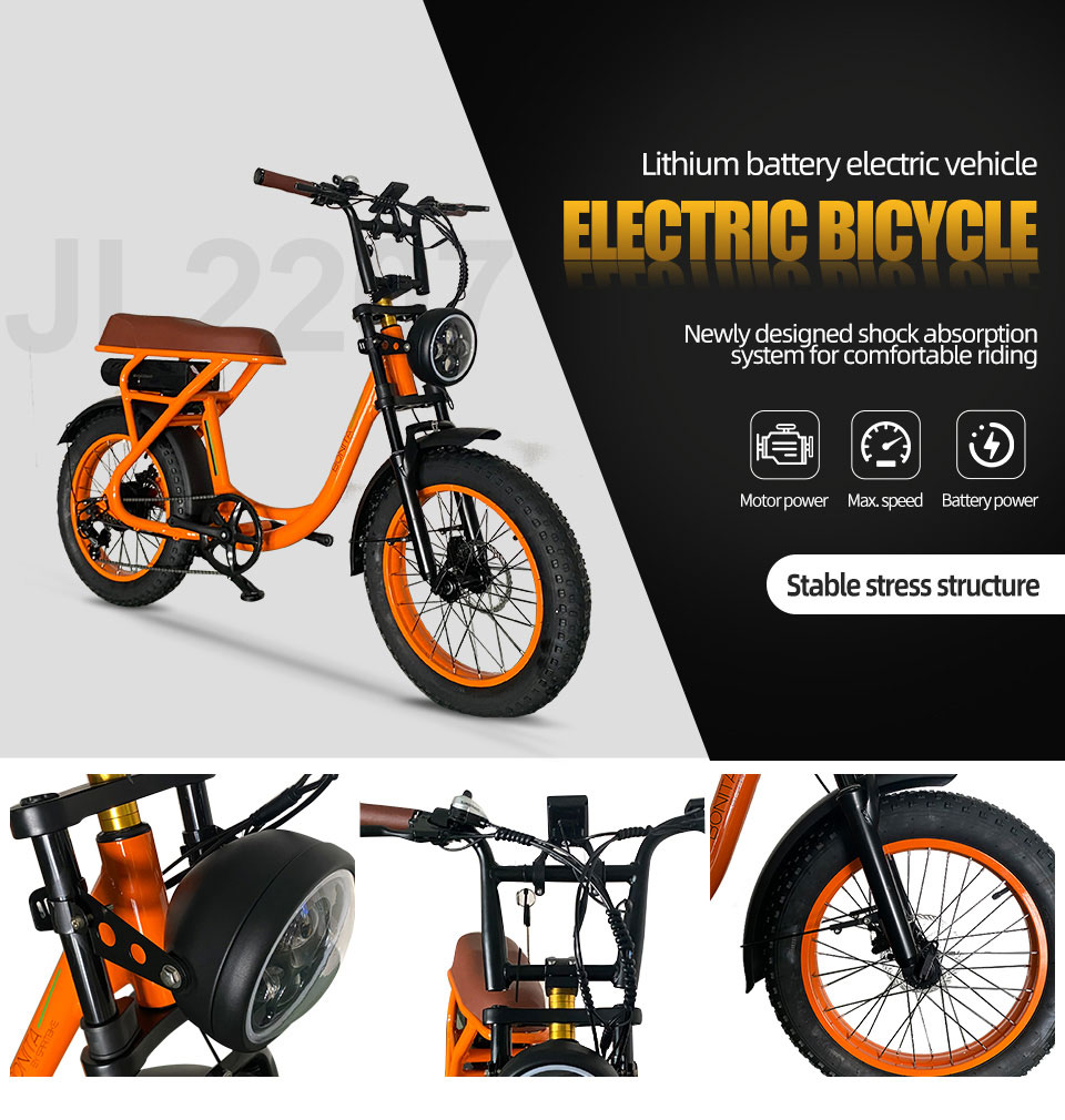 2207 350W 48V 10.4Ah14Ah 38kmh Lithium Battery Electric Bike Detail01