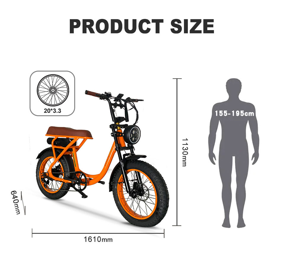 2207 350W 48V 10.4Ah14Ah 38kmh Lithium Battery Electric Bike Detail04