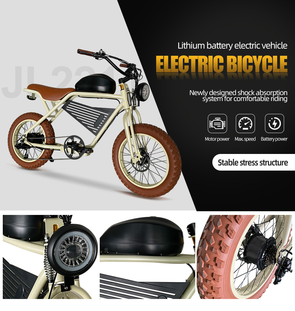2211 350W-1000W 48V 16Ah19.2Ah 35kmh Lithium Battery Electric Bike Detail01