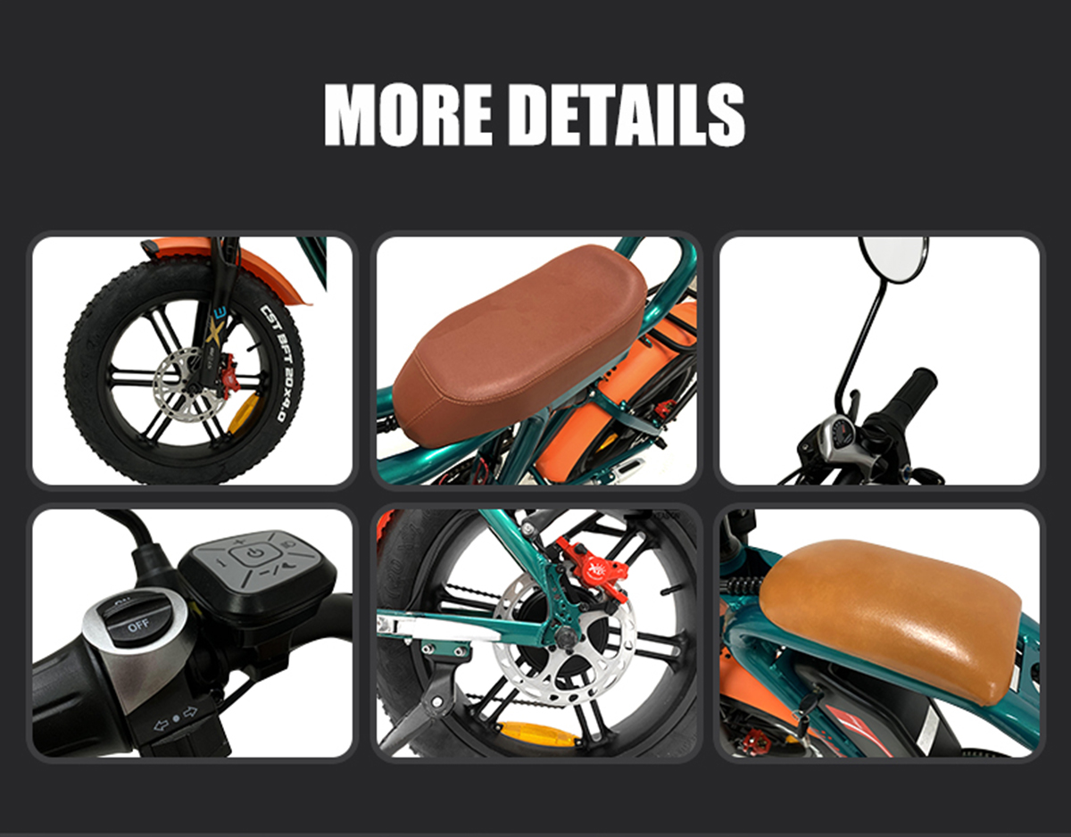 Cyclemix Electric Bike Q1 1000W 48V 22Ah 55Km/h External Lithium Battery Electric Bike Details5