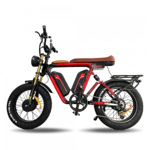 Cyclemix Products Electric Bicycle V1