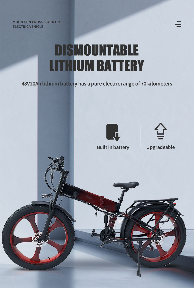 Electric Bike DGHM-78 750W 48V 20Ah 55kmh Details02