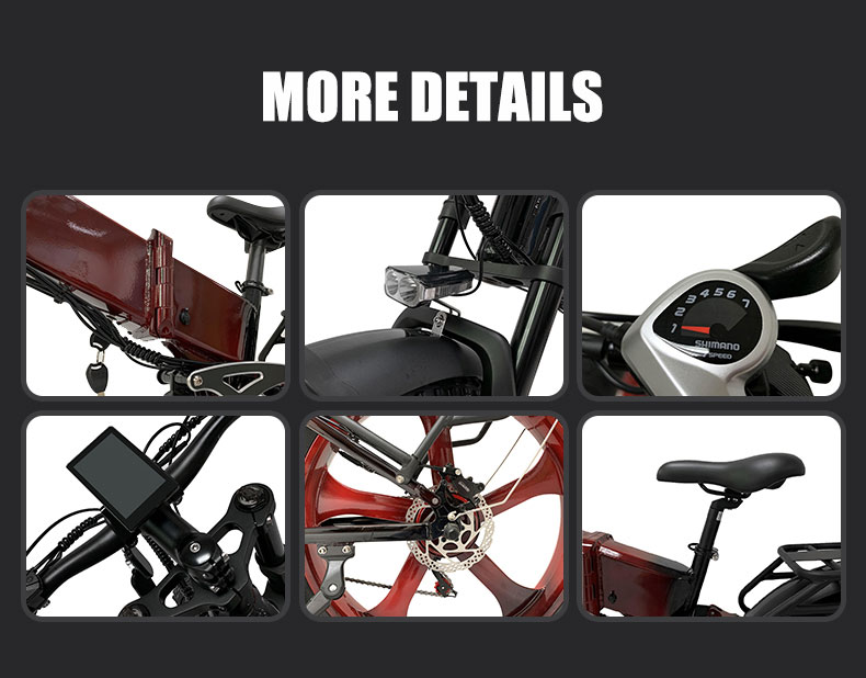 ELEKTRIČNI BIKE DGHM-78 750W 48V 20Ah 55kmh Detalji05