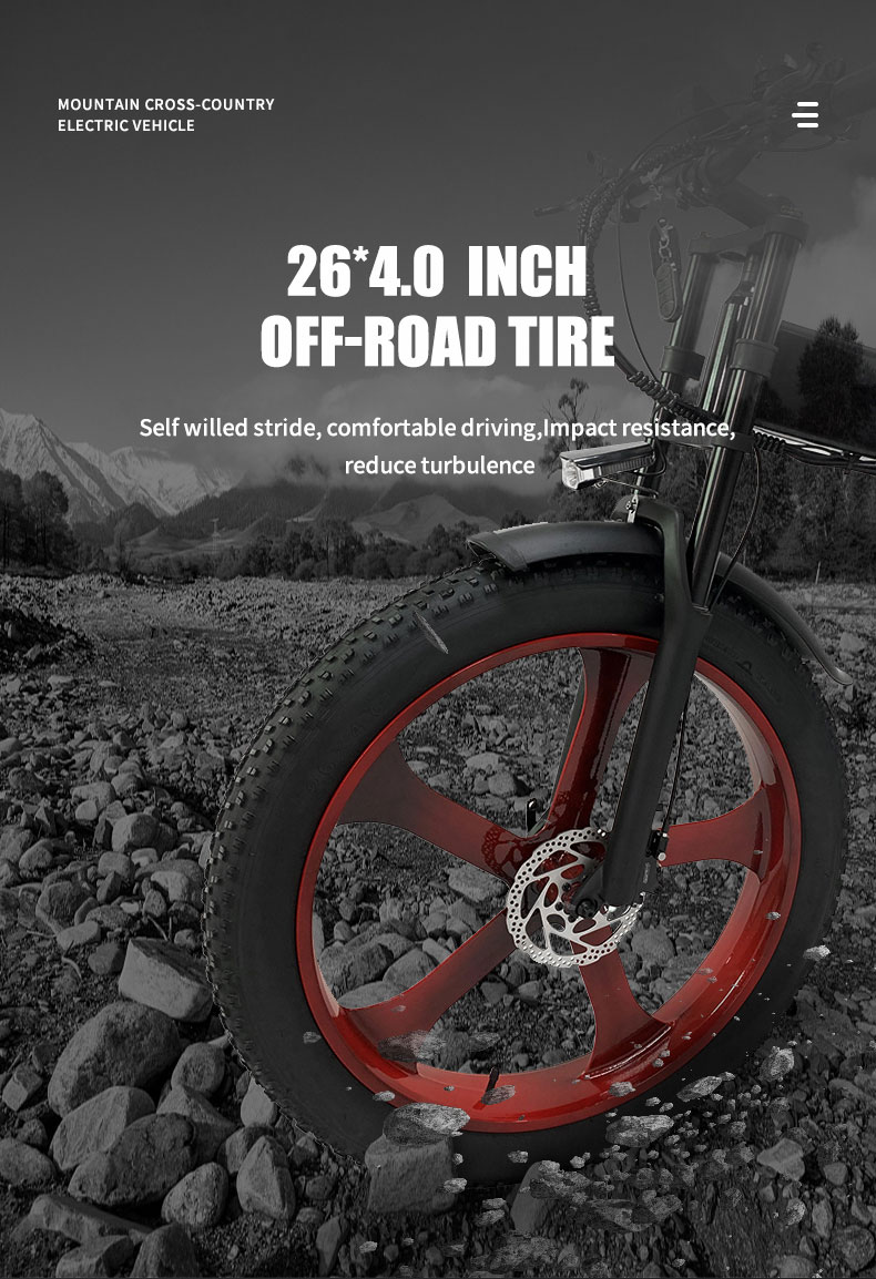 ELEKTRIČNI BIKE DGHM-78 750W 48V 20Ah 55kmh Detalji09