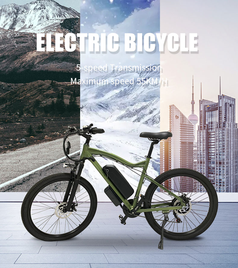 Electric Bike HL 500W 48V 10.4Ah 55kmh Details01