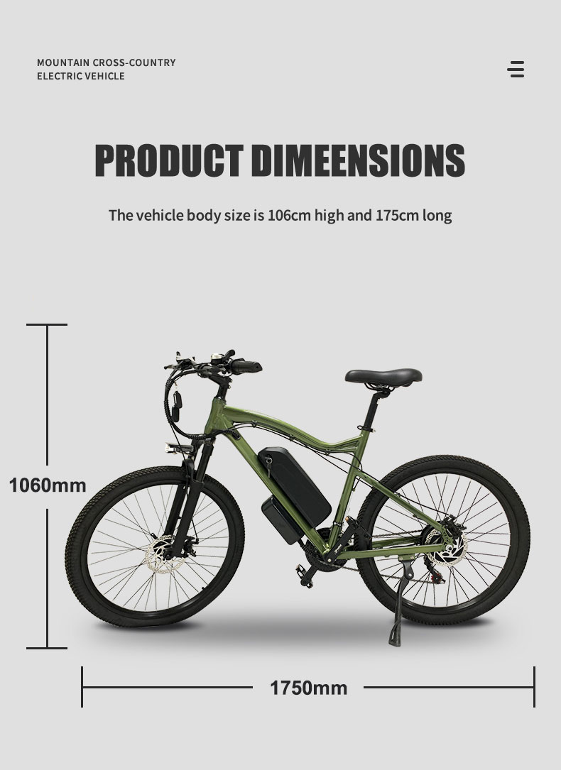 Electric Bike HL 500W 48V 10.4Ah 55kmh Details04