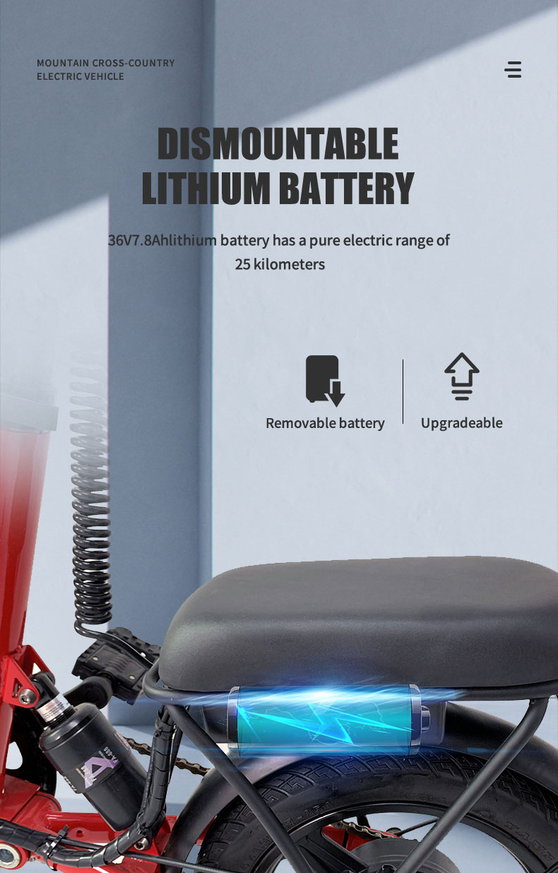 电动自行车X1 250W 36V 7.8AH 25kmh详细信息02