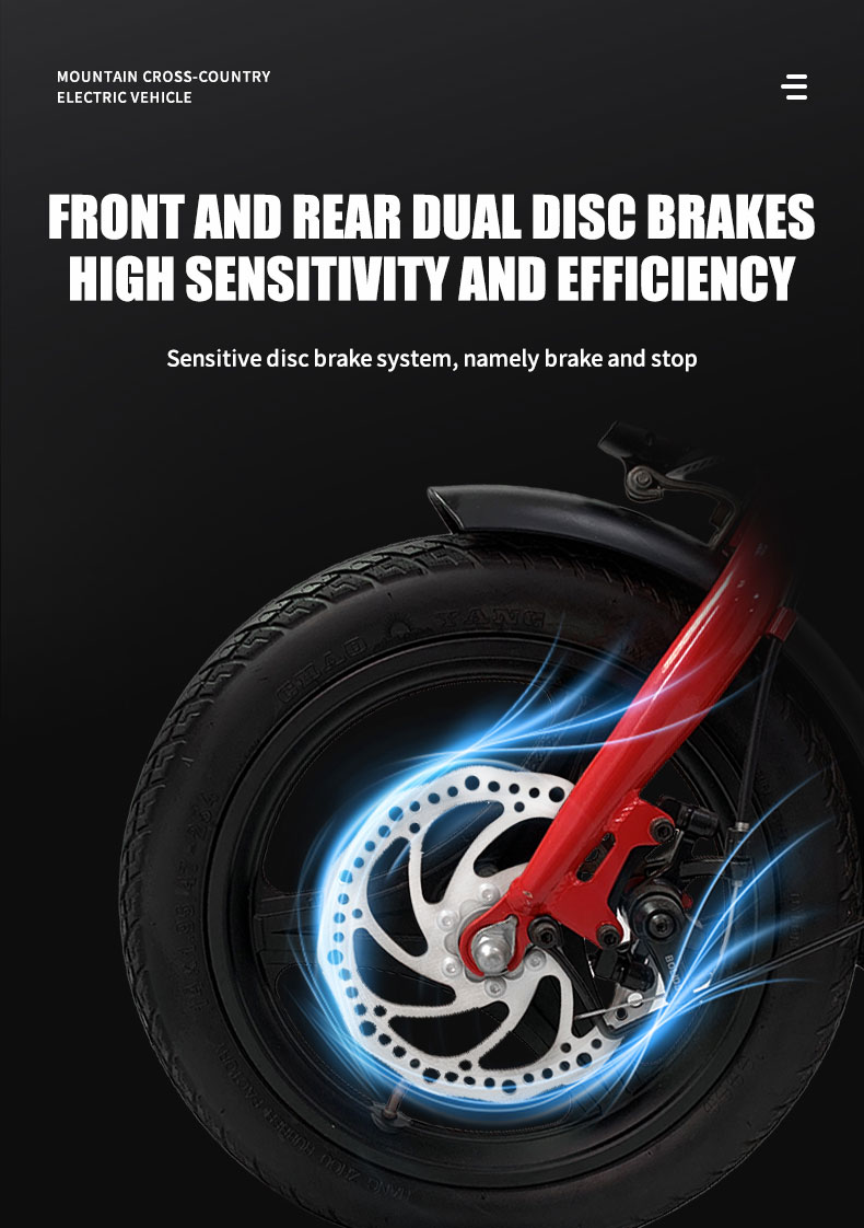 电动自行车X1 250W 36V 7.8AH 25kmh详细信息09