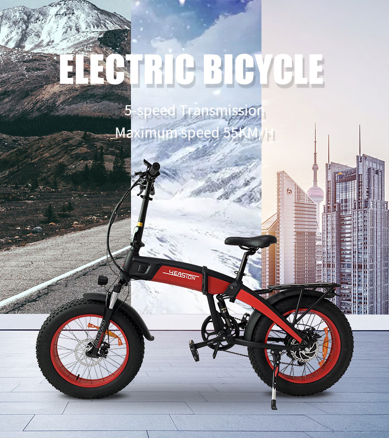 Electric Bike YB-52 1000W 48V 14Ah 55kmh Details01