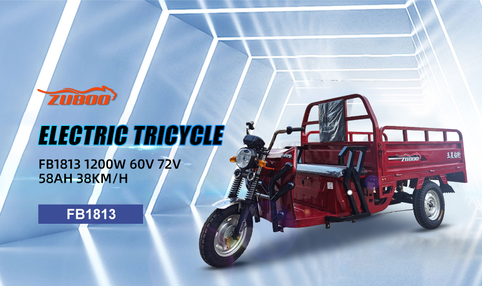 FB1813 1200W 60V 72V 58Ah 38Km/H Lead Acid Battery Electric Tricycle