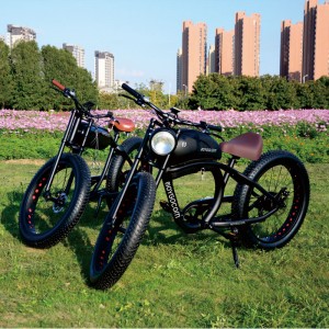 FY 500W-1000W 48V 15Ah-25Ah 50KmH Lithium Battery Electric Bike 3