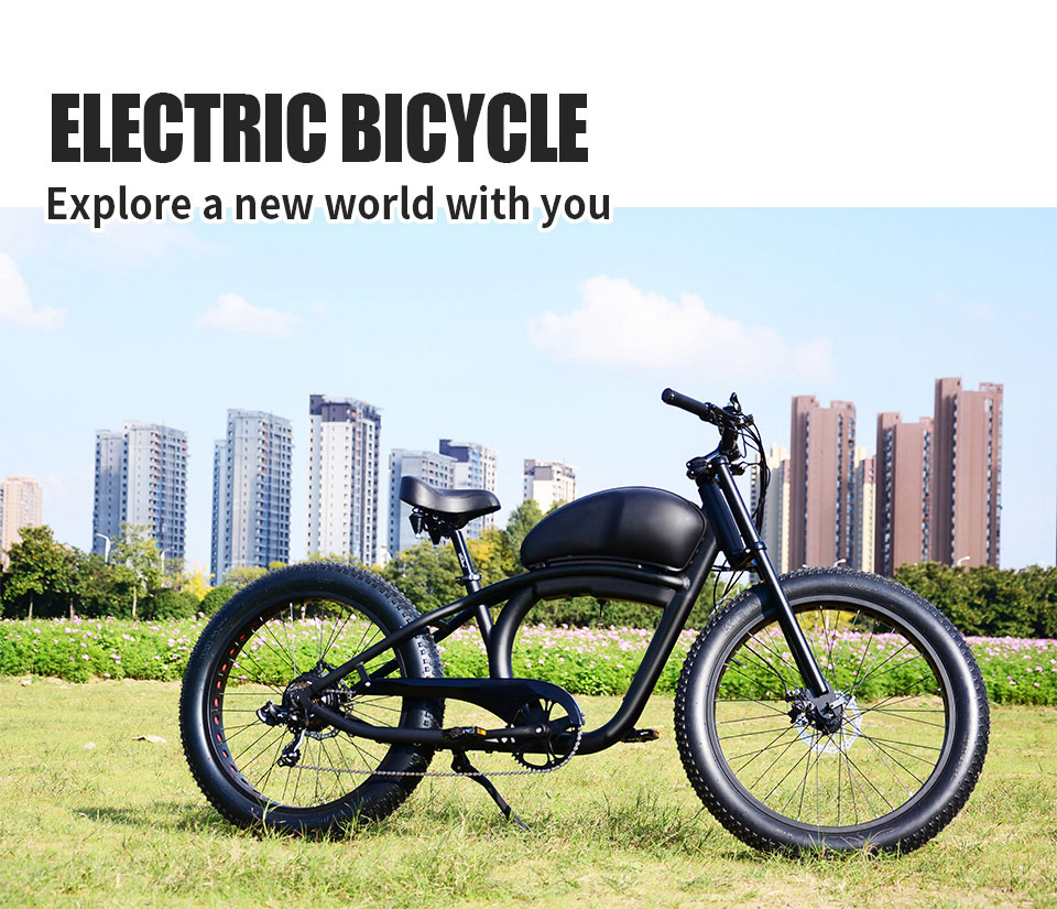 FY 500W-1000W 48V 15Ah-25Ah 50KmH Lithium Battery Electric Bike Detail01