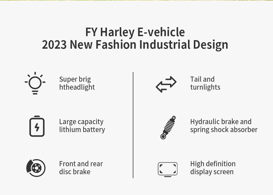 FY 500W-1000W 48V 15Ah-25Ah 50KmH Lithium Battery Electric Bike Detail02