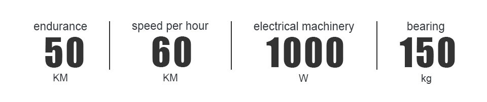 FY 500W-1000W 48V 15AH-25AH 50KMH Лития аккумуляторная батарея Электрическая велосипеда Detail05