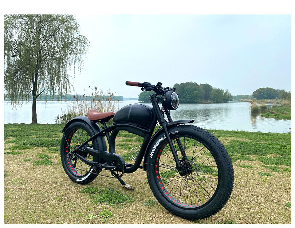 FY 500W-1000W 48V 15AH-25AH 50KMH Лития аккумуляторная батарея Электрическая велосипеда Detail08