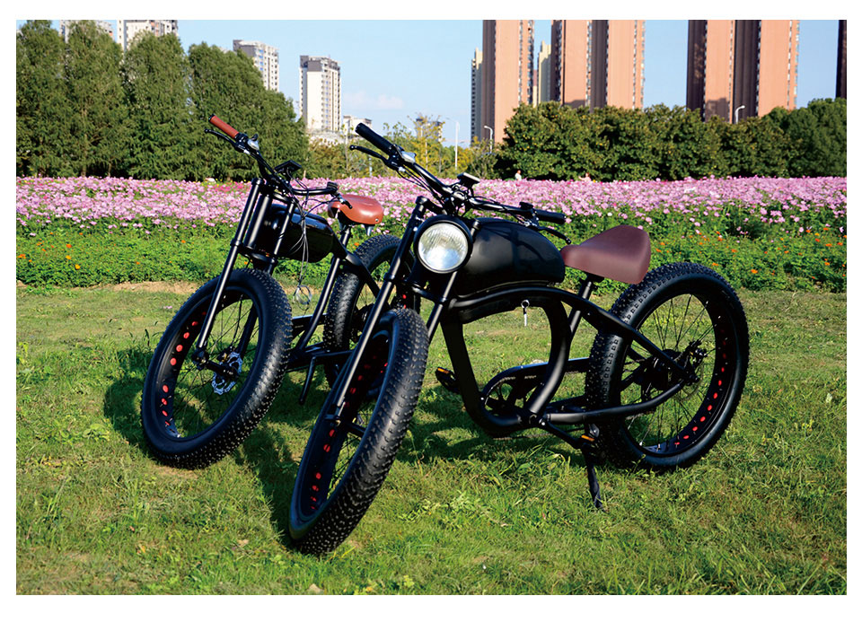 FY 500W-1000W 48V 15AH-25AH 50KMH Лития аккумуляторная батарея Электрическая велосипед