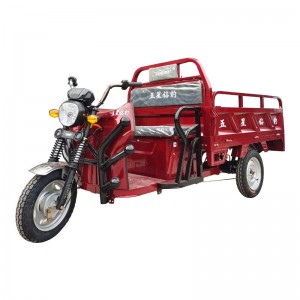 HB1611 1000W 60V 72V 58AH 38KM/H LEAD ACID Battery Electric Tricycle 01
