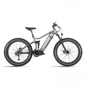 JG-TR01 750W 48V 12.8Ah17.5Ah 45KmH litiumbattery elektriese fiets 1