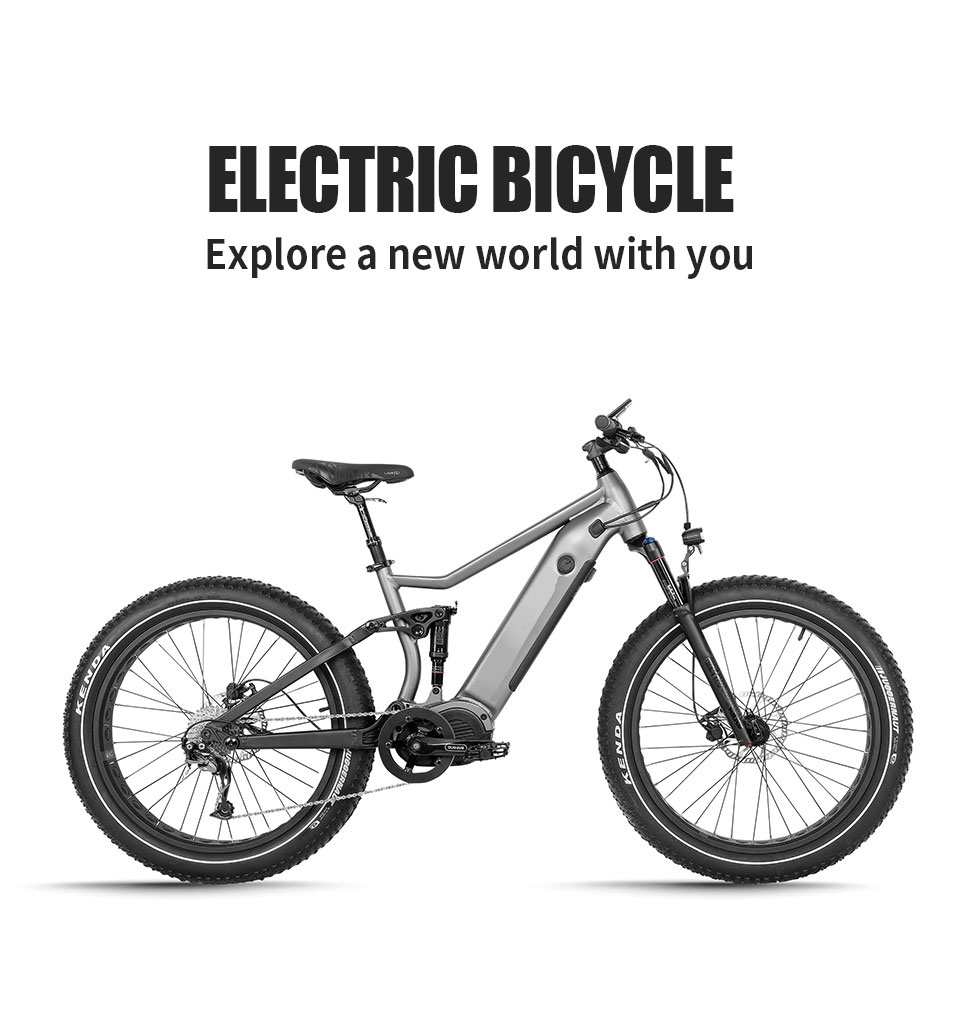 JG-TR01 750W 48V 12.8Ah17.5Ah 45KmH Lithium Battery Electric Bike Detail01