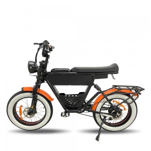 Optional 500W 750W 1000W 20inch 48V 35Ah Lithium Battery EBike 1