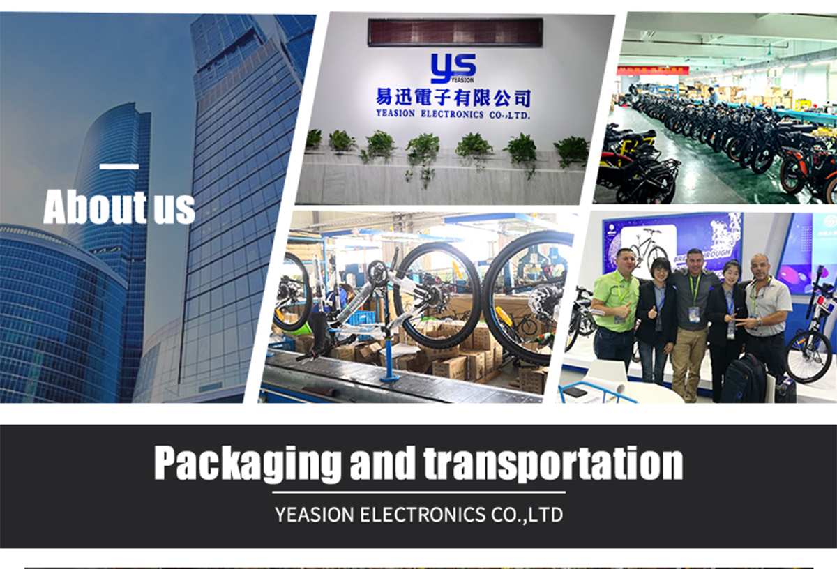 Opsyonal 500w 750W 1000W 20inch 48v Lithium Battery Ebike Detalye 15
