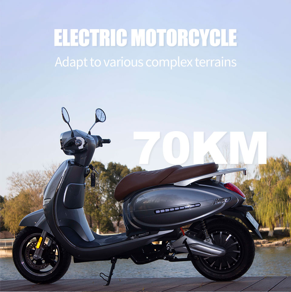 Totoro 3000W 72V 52Ah 80KmH Electric Motorcycle with Pedal Detail01