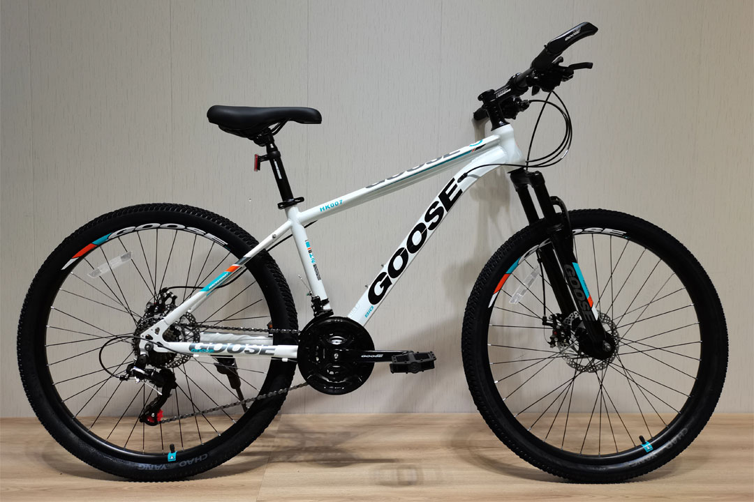 Unleashing Adventure Exploring the Features of Wholesale OEM Aluminum Alloy Frame Electric Mountain Bikes - Cyclemix