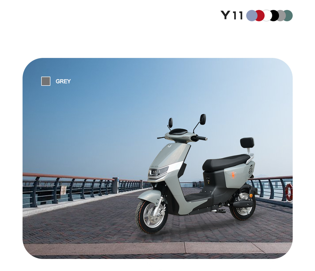 y11 (8)