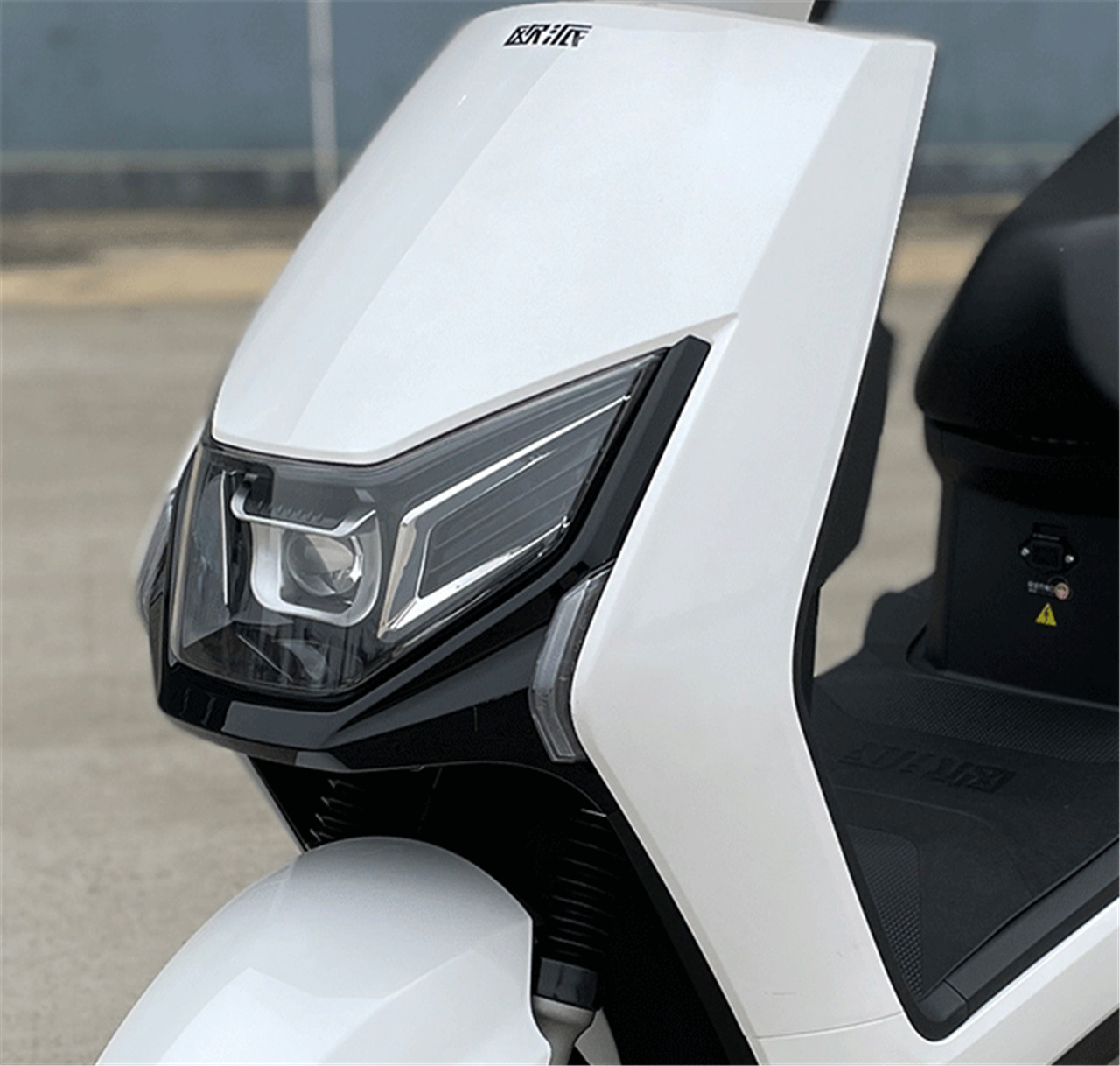 Yw-06 (1)