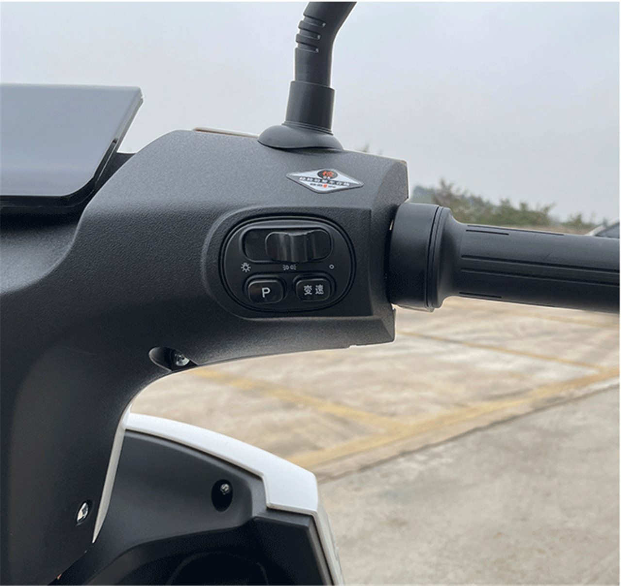Yw-06 (3)