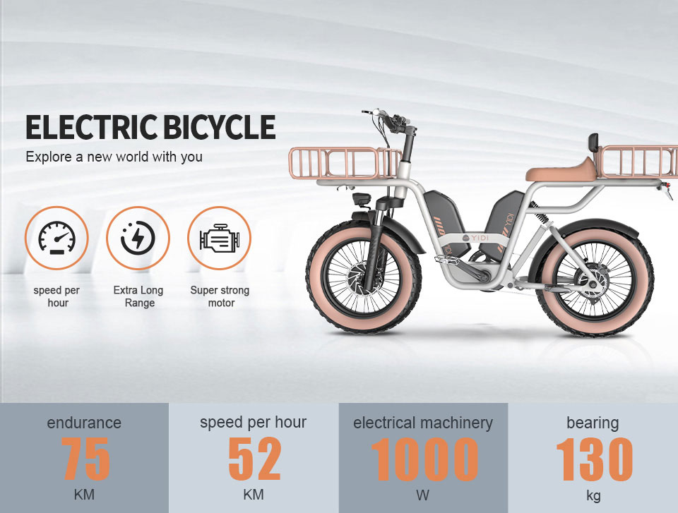 Z-2 1000W 48V 22Ah 52kmh 204.0 Tire Lithium Battery Electric Bike Detail01