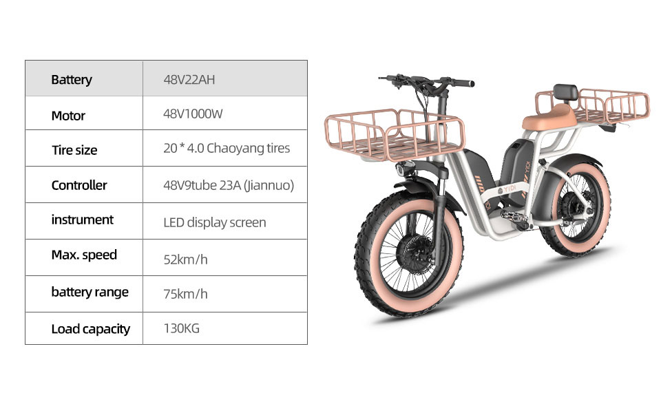 Z-2 1000W 48V 22Ah 52kmh 204.0 Tire Lithium Battery Electric Bike Detail04
