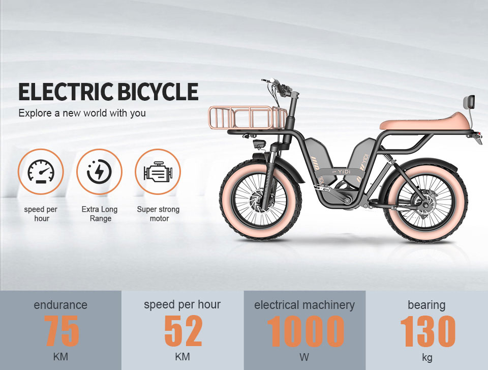 Z-3 18V 48V 22Ah 52Kmh Lampung Bathi Listrik Bike Lithium Detail01
